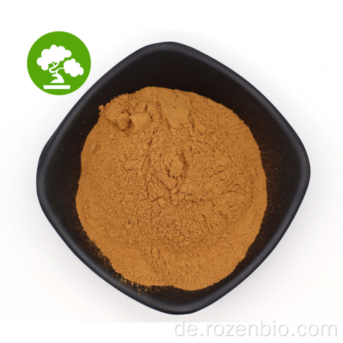 Natürliches Chaga-Pilz-Extraktpulver